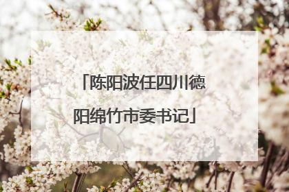 陈阳波任四川德阳绵竹市委书记