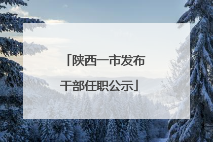 陕西一市发布干部任职公示