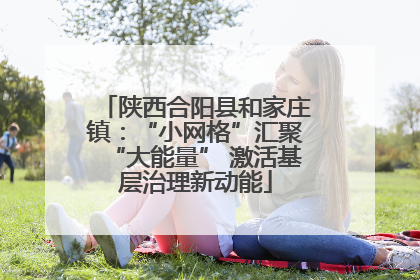 陕西合阳县和家庄镇：“小网格”汇聚“大能量” 激活基层治理新动能