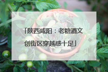 陕西咸阳：老糖酒文创街区穿越感十足