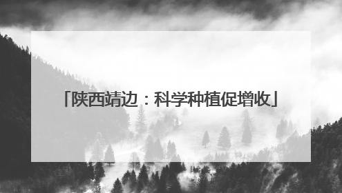 陕西靖边：科学种植促增收