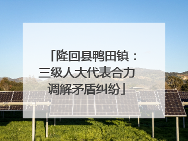 隆回县鸭田镇：三级人大代表合力调解矛盾纠纷