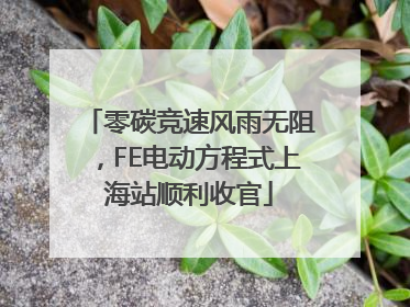 零碳竞速风雨无阻，FE电动方程式上海站顺利收官