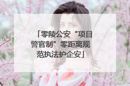 零陵公安“项目警官制”零距离规范执法护企安