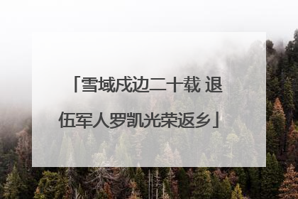 雪域戍边二十载 退伍军人罗凯光荣返乡
