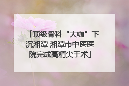 顶级骨科“大咖”下沉湘潭 湘潭市中医医院完成高精尖手术