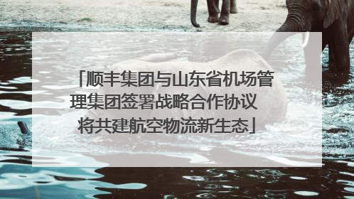 顺丰集团与山东省机场管理集团签署战略合作协议 将共建航空物流新生态
