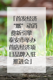 首发经济“燃”动消费新引擎 泰安市举办首店经济项目品牌入驻推进会