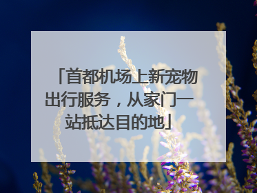 首都机场上新宠物出行服务，从家门一站抵达目的地