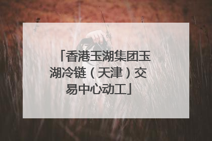 香港玉湖集团玉湖冷链（天津）交易中心动工