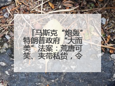 马斯克“炮轰”特朗普政府“大而美”法案：荒唐可笑、夹带私货，令人作呕
