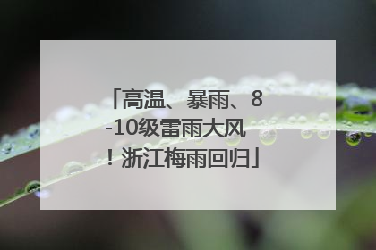 高温、暴雨、8-10级雷雨大风！浙江梅雨回归