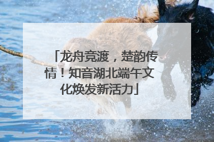 龙舟竞渡，楚韵传情！知音湖北端午文化焕发新活力