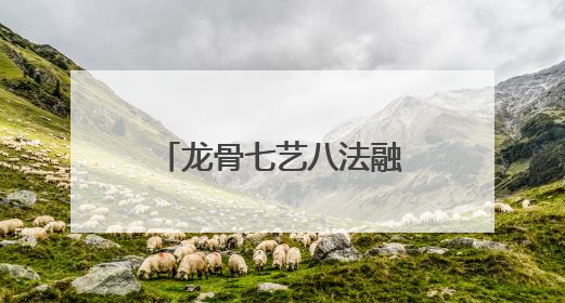 龙骨七艺八法融合AI科技，开启数智健康新时代