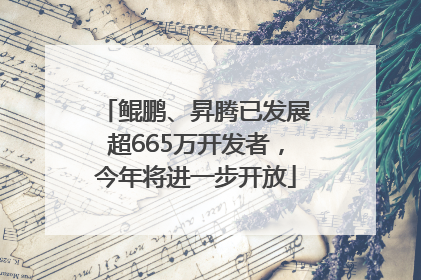 鲲鹏、昇腾已发展超665万开发者，今年将进一步开放