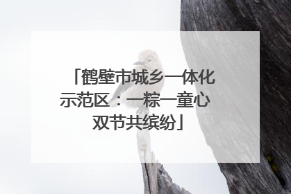 鹤壁市城乡一体化示范区：一粽一童心 双节共缤纷