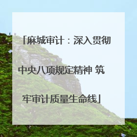 麻城审计：深入贯彻中央八项规定精神 筑牢审计质量生命线