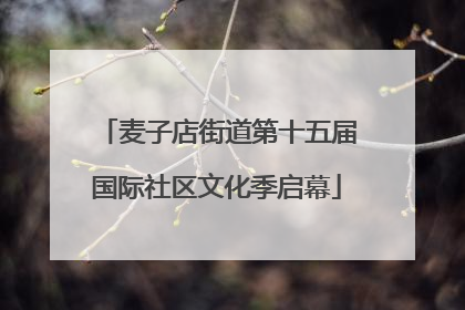 麦子店街道第十五届国际社区文化季启幕