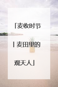 麦收时节丨麦田里的观天人
