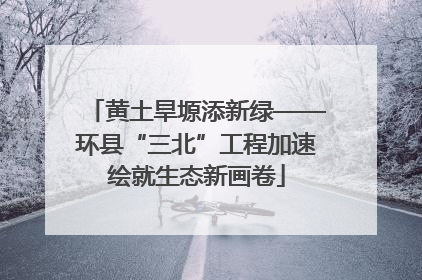 黄土旱塬添新绿——环县“三北”工程加速绘就生态新画卷
