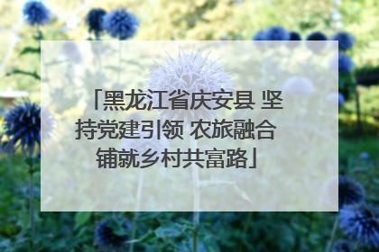黑龙江省庆安县 坚持党建引领 农旅融合铺就乡村共富路