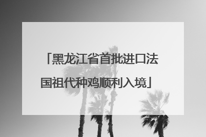 黑龙江省首批进口法国祖代种鸡顺利入境