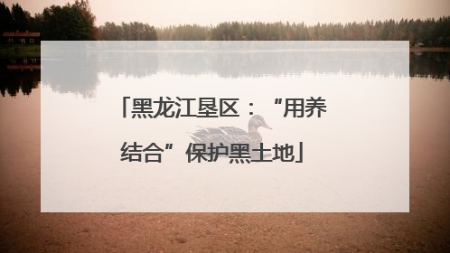 黑龙江垦区：“用养结合”保护黑土地