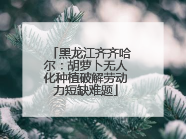 黑龙江齐齐哈尔：胡萝卜无人化种植破解劳动力短缺难题