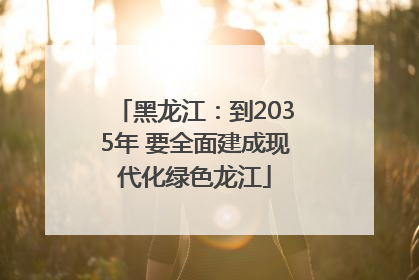 黑龙江：到2035年 要全面建成现代化绿色龙江