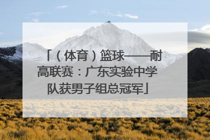 （体育）篮球——耐高联赛：广东实验中学队获男子组总冠军