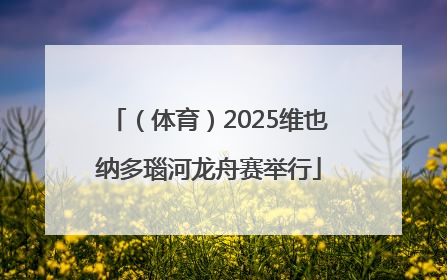 （体育）2025维也纳多瑙河龙舟赛举行