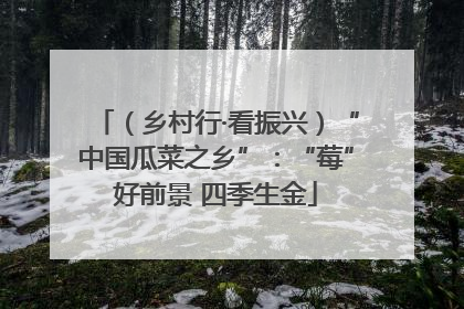 （乡村行·看振兴）“中国瓜菜之乡”：“莓”好前景 四季生金