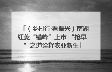 （乡村行·看振兴）南湖红菱“错峰”上市 “抢早”之道诠释农业新生
