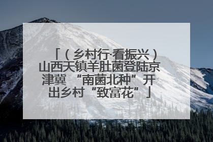 （乡村行·看振兴）山西天镇羊肚菌登陆京津冀 “南菌北种”开出乡村“致富花”