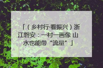 （乡村行·看振兴）浙江磐安：一村一画像 山水也能带“流量”