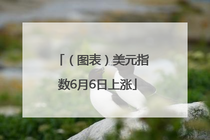 （图表）美元指数6月6日上涨