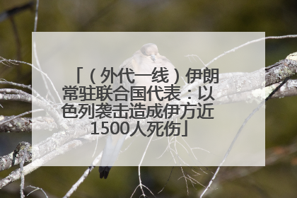 （外代一线）伊朗常驻联合国代表：以色列袭击造成伊方近1500人死伤