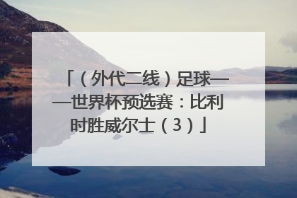 （外代二线）足球——世界杯预选赛：比利时胜威尔士（3）