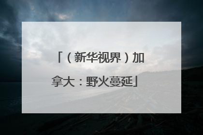 （新华视界）加拿大：野火蔓延