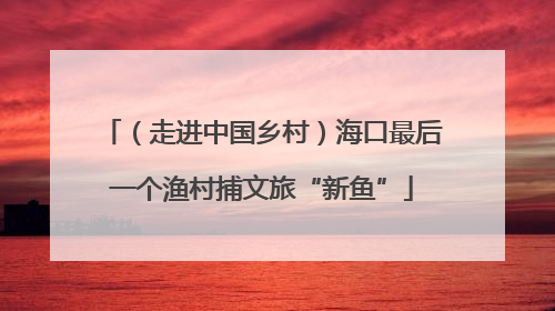 （走进中国乡村）海口最后一个渔村捕文旅“新鱼”