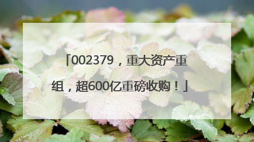 002379，重大资产重组，超600亿重磅收购！