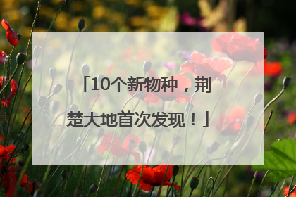 10个新物种，荆楚大地首次发现！