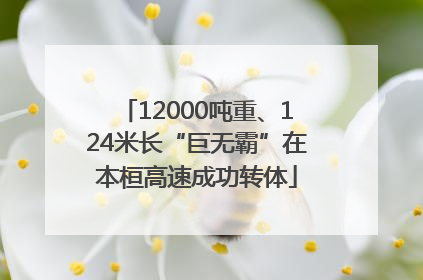 12000吨重、124米长“巨无霸”在本桓高速成功转体