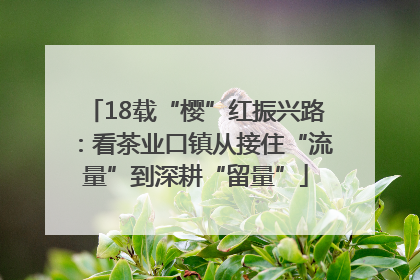 18载“樱”红振兴路：看茶业口镇从接住“流量”到深耕“留量”