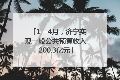 1—4月，济宁实现一般公共预算收入200.3亿元