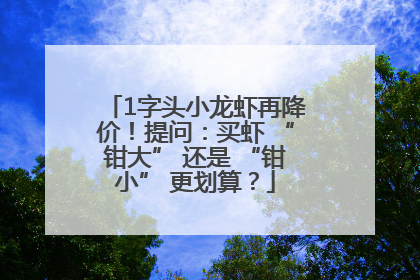 1字头小龙虾再降价！提问：买虾 “钳大” 还是 “钳小” 更划算？
