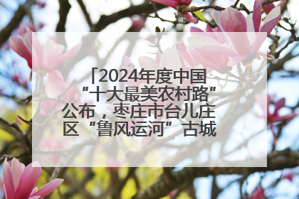 2024年度中国“十大最美农村路”公布，枣庄市台儿庄区“鲁风运河”古城文化廊道上榜！