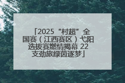 2025“村超”全国赛（江西赛区）弋阳选拔赛燃情揭幕 22支劲旅绿茵逐梦