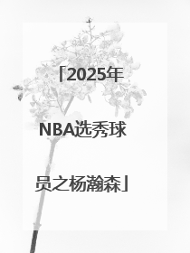 2025年NBA选秀球员之杨瀚森