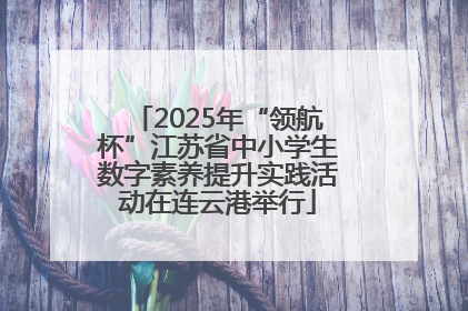 2025年“领航杯”江苏省中小学生数字素养提升实践活动在连云港举行